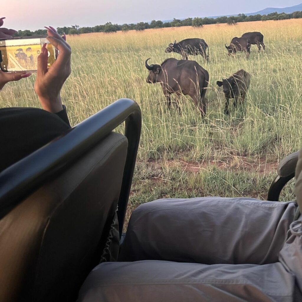 Ndlovukazi guest moment