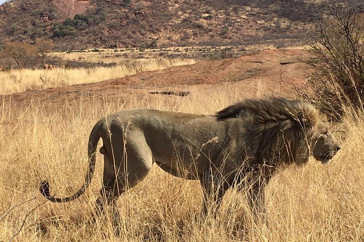 Ndlovukazi tour destination and experience